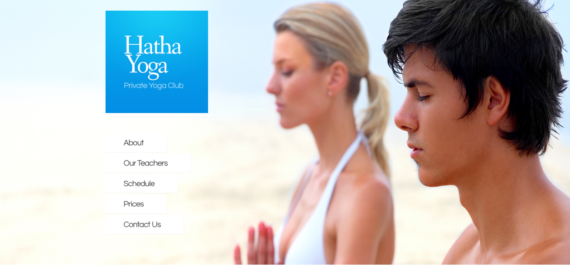 Шаблон сайта Красота №114