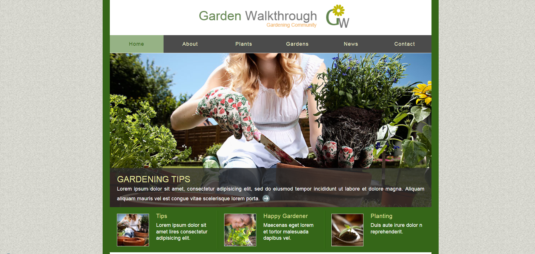 Шаблон сайта Дизайн №704