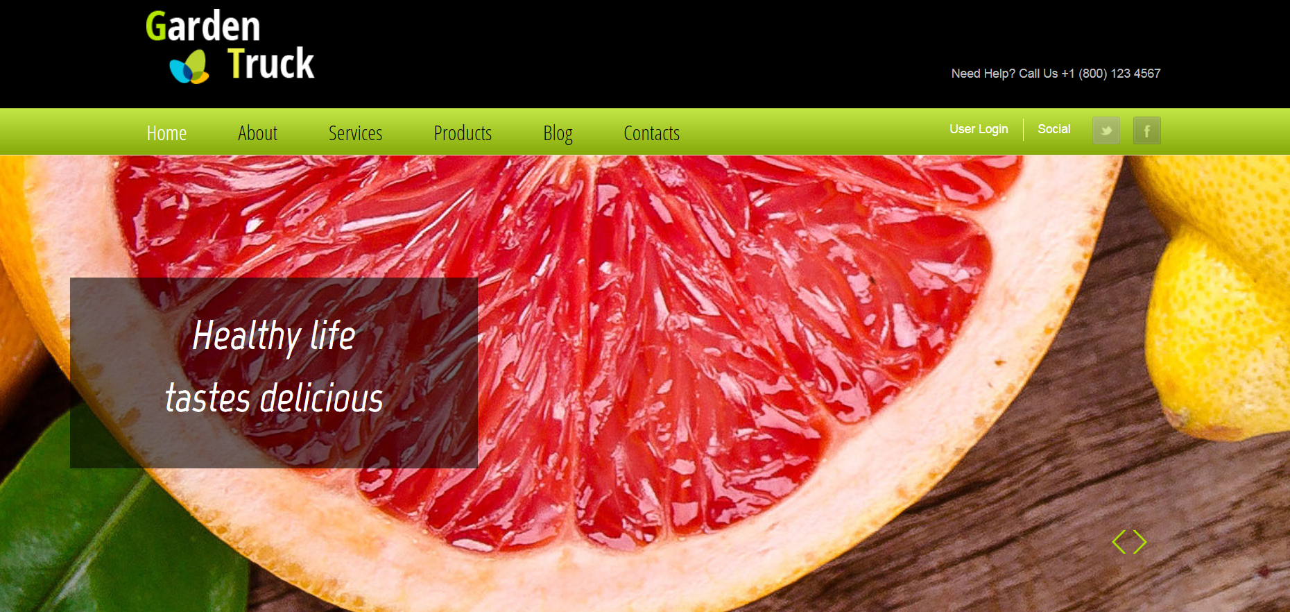 Шаблон сайта Природа №33